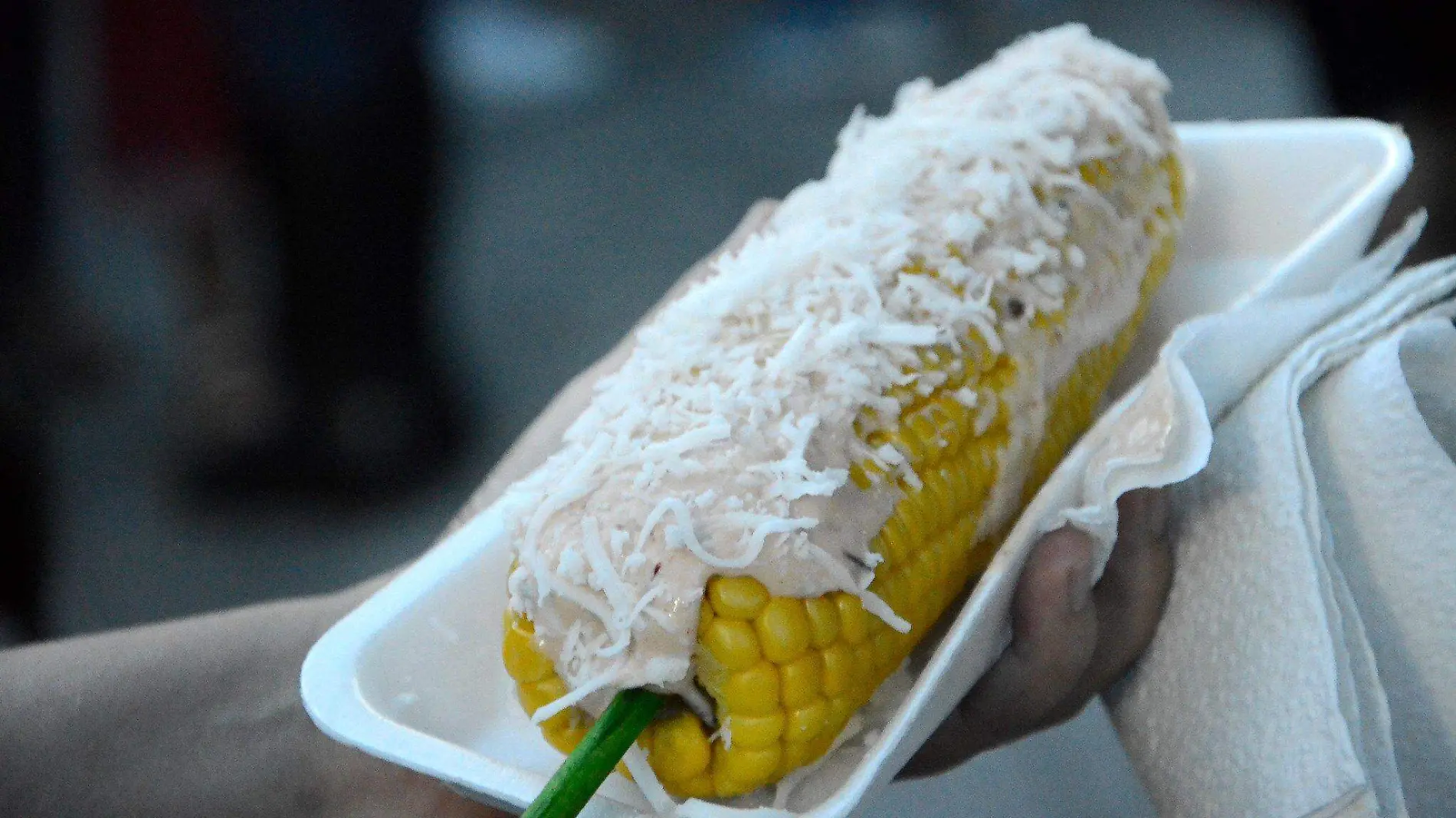 Gob Zapopan Elote